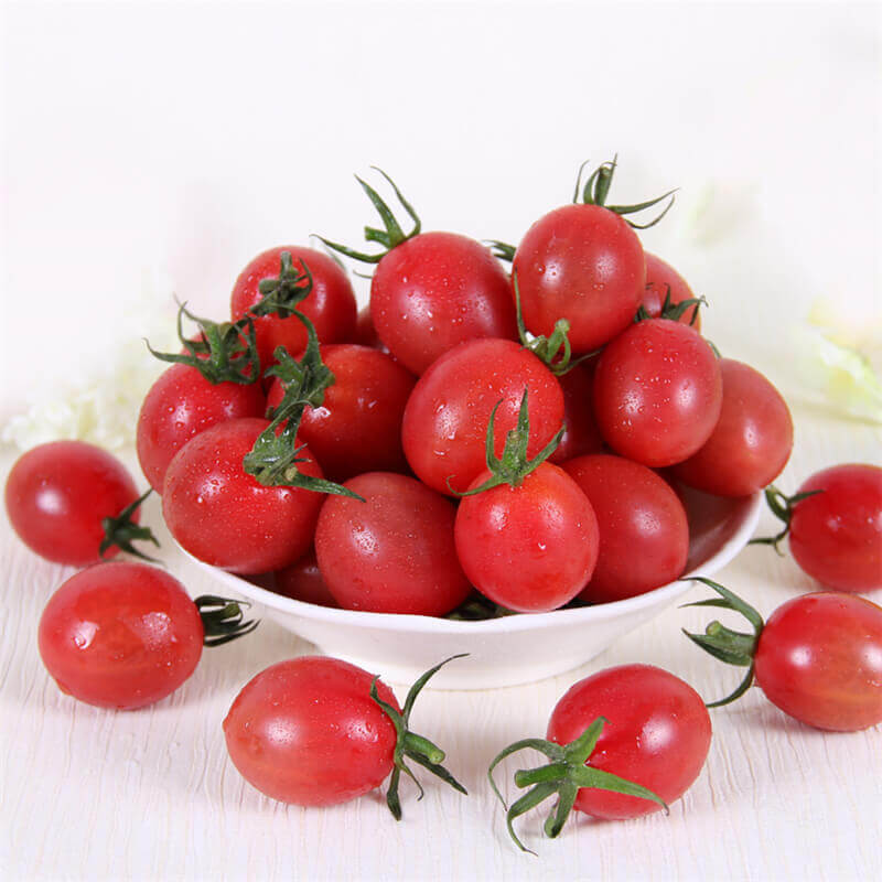Cherry Tomatoes Drying Process